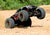 MAXX®: 1/10 Scale 4WD Brushless Electric Monster Truck 4S